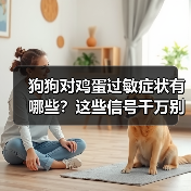 狗狗对鸡蛋过敏症状有哪些?这些信号千万别忽视(图3) 狗狗对鸡蛋过敏症状有哪些?这些信号千万别忽视(图3)