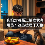 狗狗对鸡蛋过敏症状有哪些?这些信号千万别忽视(图4) 狗狗对鸡蛋过敏症状有哪些?这些信号千万别忽视(图4)