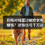 狗狗对鸡蛋过敏症状有哪些?这些信号千万别忽视(图2) 狗狗对鸡蛋过敏症状有哪些?这些信号千万别忽视(图2)