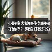 心脏病犬被咬伤如何保守治疗?海泊舒效果分析(图2) 心脏病犬被咬伤如何保守治疗?海泊舒效果分析(图2)