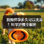 狗狗怀孕多久可以洗澡?科学护理全解析(图1) 狗狗怀孕多久可以洗澡?科学护理全解析(图1)