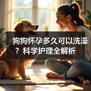狗狗怀孕多久可以洗澡?科学护理全解析(图3) 狗狗怀孕多久可以洗澡?科学护理全解析(图3)