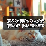 猎犬为何能成为人类狩猎伙伴?揭秘品种与本能的完美结合(图1) 猎犬为何能成为人类狩猎伙伴?揭秘品种与本能的完美结合(图1)