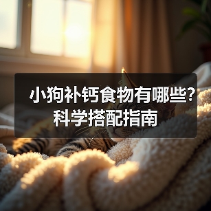 小狗补钙食物有哪些?科学搭配指南(图3) 小狗补钙食物有哪些?科学搭配指南(图3)