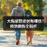 大狗感冒症状有哪些？预防措施全解析(图4)