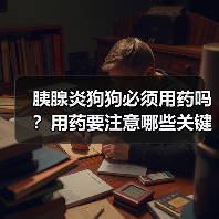 胰腺炎狗狗必须用药吗？用药要注意哪些关键点？(图3)