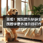 喜报!我院团队斩获全国数字素养提升标杆作品(图2) 喜报!我院团队斩获全国数字素养提升标杆作品(图2)