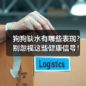 狗狗缺水有哪些表现?别忽视这些健康信号!(图4) 狗狗缺水有哪些表现?别忽视这些健康信号!(图4)