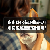 狗狗缺水有哪些表现?别忽视这些健康信号!(图2) 狗狗缺水有哪些表现?别忽视这些健康信号!(图2)