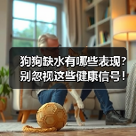 狗狗缺水有哪些表现?别忽视这些健康信号!(图3) 狗狗缺水有哪些表现?别忽视这些健康信号!(图3)