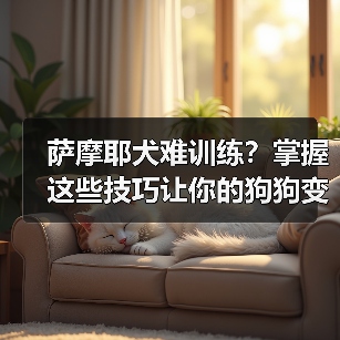 萨摩耶犬难训练?掌握这些技巧让你的狗狗变乖(图1) 萨摩耶犬难训练?掌握这些技巧让你的狗狗变乖(图1)