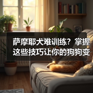 萨摩耶犬难训练?掌握这些技巧让你的狗狗变乖(图2) 萨摩耶犬难训练?掌握这些技巧让你的狗狗变乖(图2)