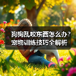 狗狗乱咬东西怎么办?宠物训练技巧全解析(图4) 狗狗乱咬东西怎么办?宠物训练技巧全解析(图4)