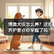 博美犬该怎么养?这些养护要点你掌握了吗?(图4) 博美犬该怎么养?这些养护要点你掌握了吗?(图4)