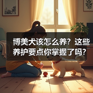 博美犬该怎么养?这些养护要点你掌握了吗?(图3) 博美犬该怎么养?这些养护要点你掌握了吗?(图3)