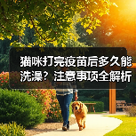 猫咪打完疫苗后多久能洗澡?注意事项全解析(图4) 猫咪打完疫苗后多久能洗澡?注意事项全解析(图4)