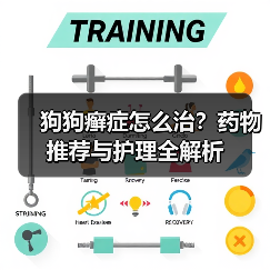 狗狗癣症怎么治?药物推荐与护理全解析(图1) 狗狗癣症怎么治?药物推荐与护理全解析(图1)