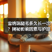 雪纳瑞腿毛多久长一次?揭秘影响因素与护理技巧(图4) 雪纳瑞腿毛多久长一次?揭秘影响因素与护理技巧(图4)