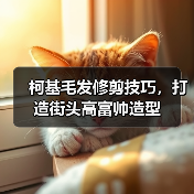 柯基毛发修剪技巧,打造街头高富帅造型(图2) 柯基毛发修剪技巧,打造街头高富帅造型(图2)