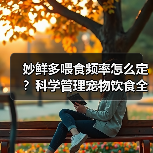 妙鲜多喂食频率怎么定?科学管理宠物饮食全攻略(图2) 妙鲜多喂食频率怎么定?科学管理宠物饮食全攻略(图2)