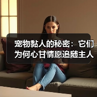 宠物黏人的秘密：它们为何心甘情愿追随主人？(图3)