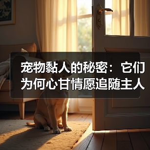宠物黏人的秘密：它们为何心甘情愿追随主人？(图2)