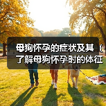 母狗怀孕的症状及其（了解母狗怀孕时的体征