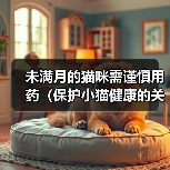 未满月的猫咪需谨慎用药(保护小猫健康的关键是正确用药)(图3) 未满月的猫咪需谨慎用药(保护小猫健康的关键是正确用药)(图3)