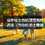 成年哈士奇的理想狗粮选择(为你的哈士奇提供均衡营养的狗粮推荐)(图4) 成年哈士奇的理想狗粮选择(为你的哈士奇提供均衡营养的狗粮推荐)(图4)