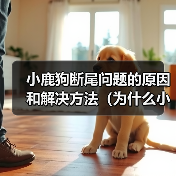 小鹿狗断尾问题的原因和解决方法(为什么小鹿狗需要断尾?如何正确处理小鹿狗的断尾问题?)(图3) 小鹿狗断尾问题的原因和解决方法(为什么小鹿狗需要断尾?如何正确处理小鹿狗的断尾问题?)(图3)