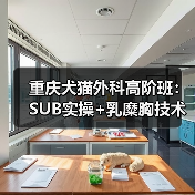 重庆犬猫外科高阶班：SUB实操+乳糜胸技术全掌握(图4)