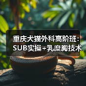 重庆犬猫外科高阶班：SUB实操+乳糜胸技