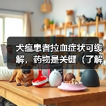 犬瘟患者拉血症状可缓解,药物是关键(了解犬瘟拉血症状的药物治疗及关键作用)(图3) 犬瘟患者拉血症状可缓解,药物是关键(了解犬瘟拉血症状的药物治疗及关键作用)(图3)