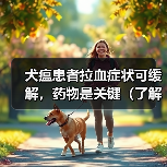 犬瘟患者拉血症状可缓解，药物是关键（了解
