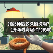 狗配种后多久能洗澡？（洗澡对狗配种的影响及最佳时间选择）(图2)