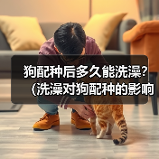 狗配种后多久能洗澡？（洗澡对狗配种的影响及最佳时间选择）(图4)