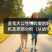 金毛犬公性情转变的时机及原因分析（从幼年