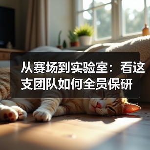 从赛场到实验室：看这支团队如何全员保研