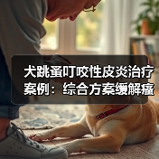 犬跳蚤叮咬性皮炎治疗案例：综合方案缓解瘙痒与感染(图3)