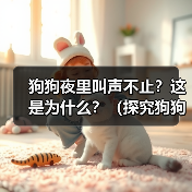 狗狗夜里叫声不止？这是为什么？（探究狗狗