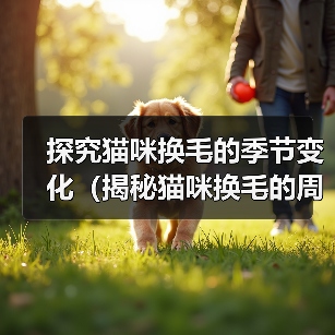 探究猫咪换毛的季节变化(揭秘猫咪换毛的周期及养护技巧)(图2) 探究猫咪换毛的季节变化(揭秘猫咪换毛的周期及养护技巧)(图2)