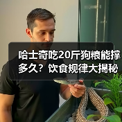 哈士奇吃20斤狗粮能撑多久?饮食规律大揭秘(图4) 哈士奇吃20斤狗粮能撑多久?饮食规律大揭秘(图4)
