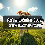 狗狗自闭症的治疗方法（如何帮助狗狗摆脱自闭症困扰）(图2)