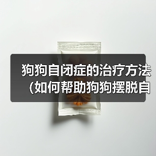 狗狗自闭症的治疗方法（如何帮助狗狗摆脱自闭症困扰）(图4)