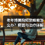 老年博美狗频繁咳嗽怎么办？病因与治疗详解