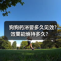 狗狗药浴要多久见效？效果能维持多久？