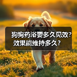 狗狗药浴要多久见效?效果能维持多久?(图3) 狗狗药浴要多久见效?效果能维持多久?(图3)