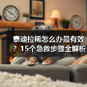 泰迪拉稀怎么办最有效?15个急救步骤全解析(图3) 泰迪拉稀怎么办最有效?15个急救步骤全解析(图3)