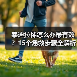 泰迪拉稀怎么办最有效？15个急救步骤全解