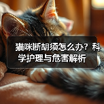 猫咪断胡须怎么办?科学护理与危害解析(图2) 猫咪断胡须怎么办?科学护理与危害解析(图2)